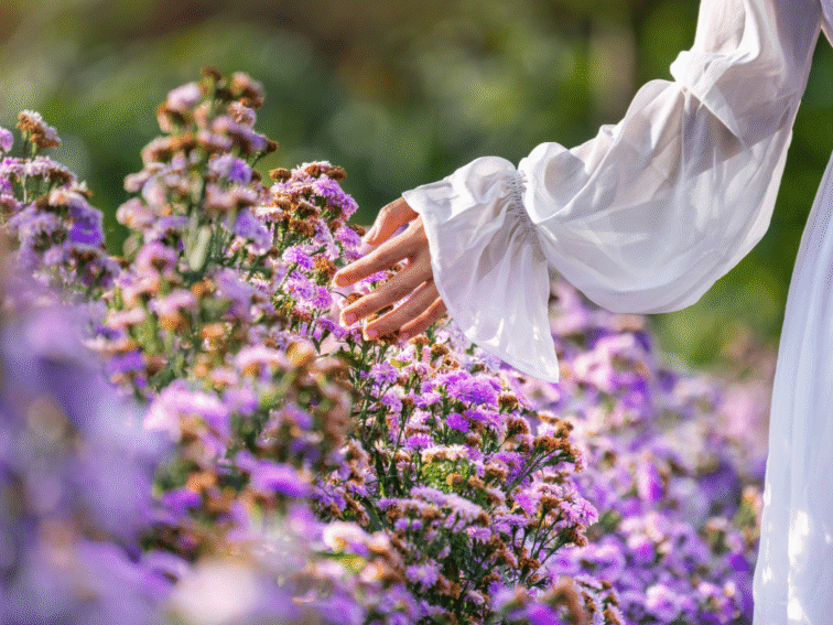 When You’ve Lost Momentum: How to Begin Again in Any Season