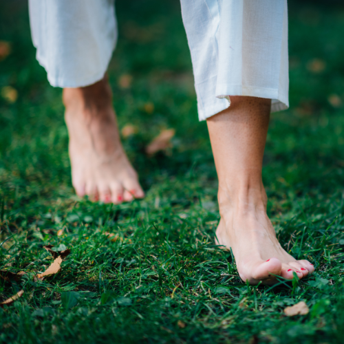 Walking With You, One Intentional Step at a Time